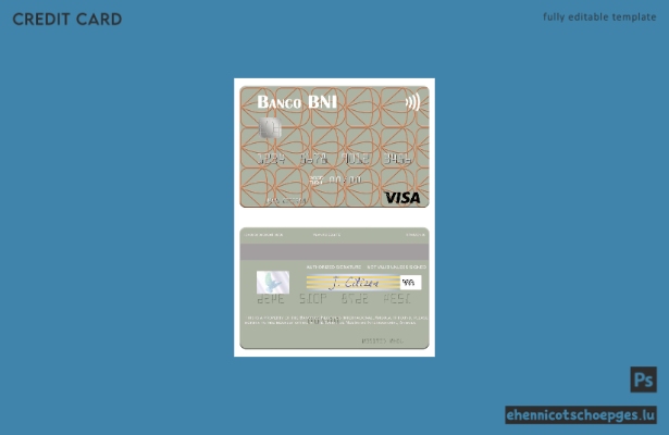 Beispielvorschau der Visa-Karte der Angola International Business Bank